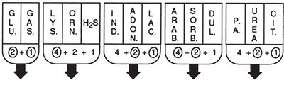 EnteroPluri test scoring system