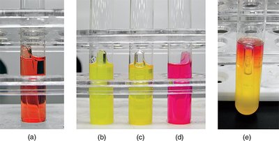 Phenol red broth tubes showing different fermentation results