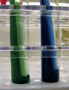 Simmons citrate agar showing positive and negative results
