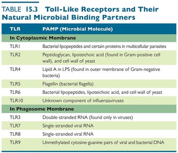 Table of Toll-like receptors and their microbial binding partners