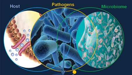 Venn diagram of host, pathogens, and microbiome