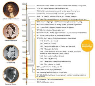 Timeline of major events in microbiology