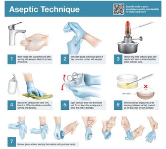Aseptic technique steps