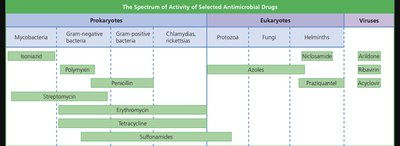 Spectrum of activity of selected antimicrobial drugs