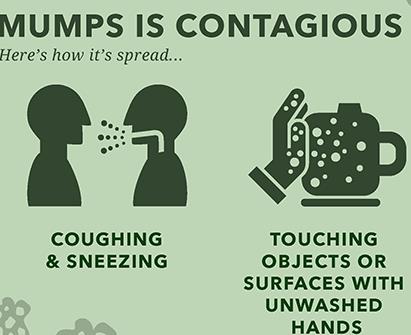 Mumps transmission infographic