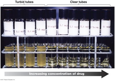 Minimum inhibitory concentration test