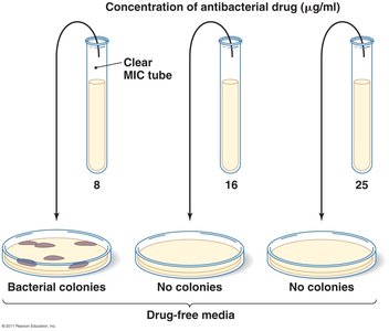 Minimum bactericidal concentration test