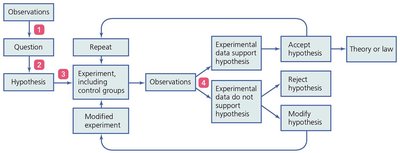The scientific method flowchart