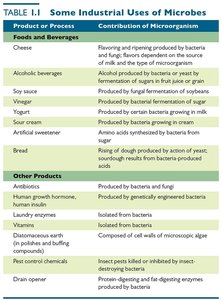 Table 1.1: Some industrial uses of microbes