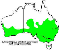Spread of rabbit calicivirus in Australia