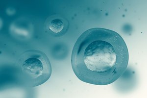Diagram of eukaryotic cell division