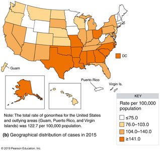 Map showing geographical distribution of gonorrhea cases in the US, 2015