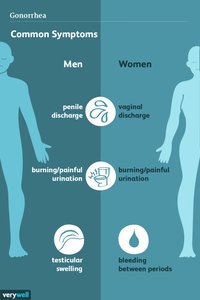 Infographic of common symptoms of gonorrhea in men and women