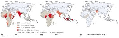 Global map of polio cases over time