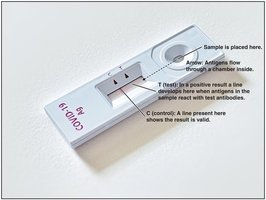 Rapid at-home ELISA test for SARS-CoV-2