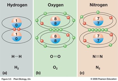 Polar and nonpolar covalent bonds