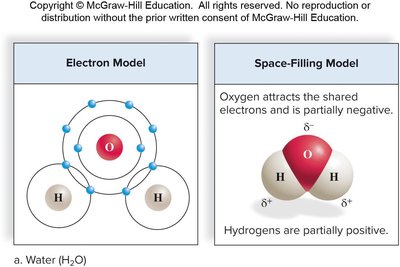 Hydrogen bonding between water molecules