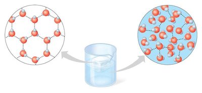 Hydrogen bonds in ice and liquid water