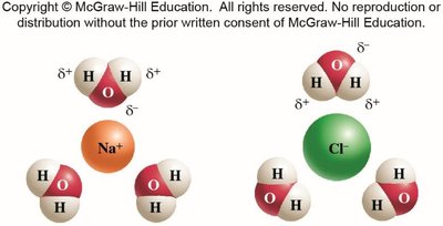 Spheres of hydration around ions in water