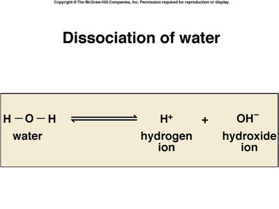 Dissociation of water equation