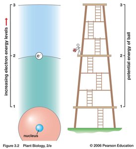 Electron energy levels and potential energy