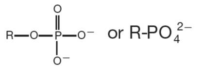 Phosphate group structure