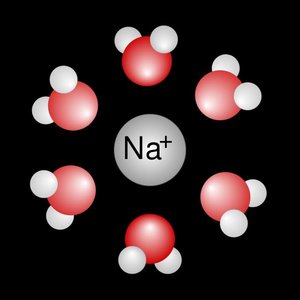 Sodium ion dissolved in water