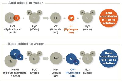 Acids and bases in water