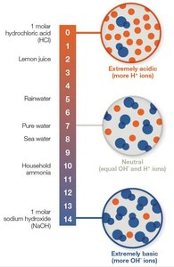 pH scale and acidity