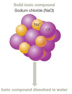 Ionic bond formation