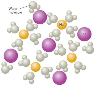 Ionic compound dissolved in water