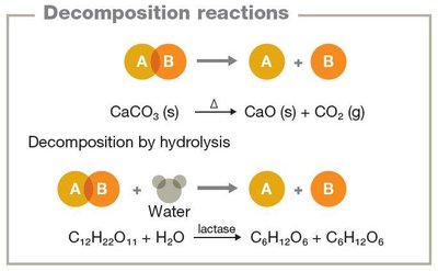 Decomposition reactions