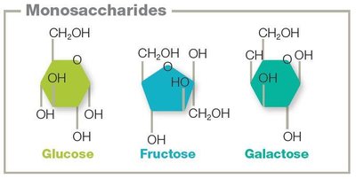 Monosaccharide structures