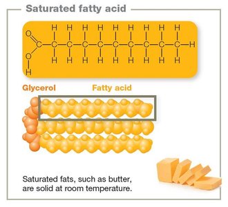 Saturated fatty acid structure