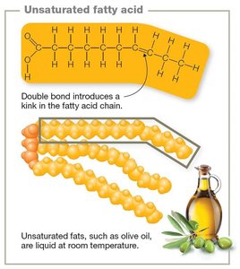 Unsaturated fatty acid structure