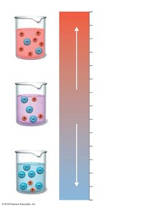 pH scale with examples of common substances