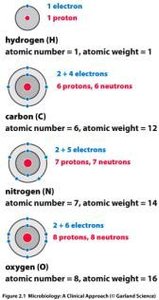 Electron configurations of common biological elements