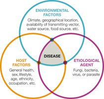 Epidemiological triangle diagram
