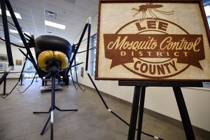 Mosquito control