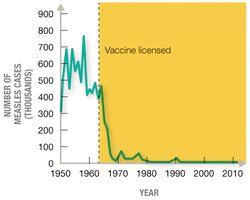 Measles cases over time