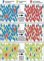 Herd immunity diagram