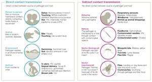 Direct and Indirect Contact Transmission