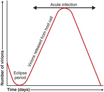 Viral one-step growth curve