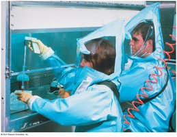 Technicians in a BSL-4 laboratory