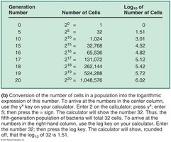 Logarithmic and arithmetic representation of bacterial growth