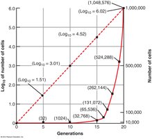 Growth curve: log and arithmetic plots