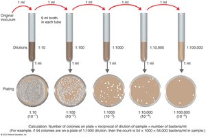 Serial dilution and plate count method