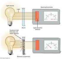 Turbidity measurement with a spectrophotometer