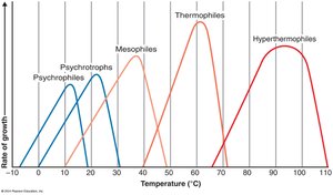 Growth rates of microorganisms at different temperatures