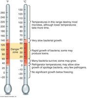 Thermometers showing food safety temperature ranges